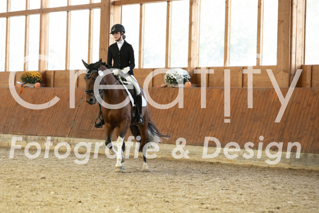 IMG_6188 | Creatify Fotografie