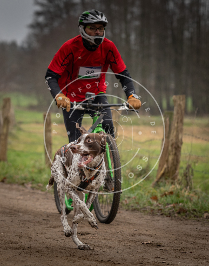 Pfotenfotografie_DV3A2544 | Hundefotografie, Tierfotograf, Pfotenfotografie, Fotoshooting Hund, Hunde Portrait, Hundesport, Hundeportraits, Heideshooting, Hunde, Sportfotograf, Hundefotograf, Turnierhundsport, THS,  - Realisiert mit Pictrs.com