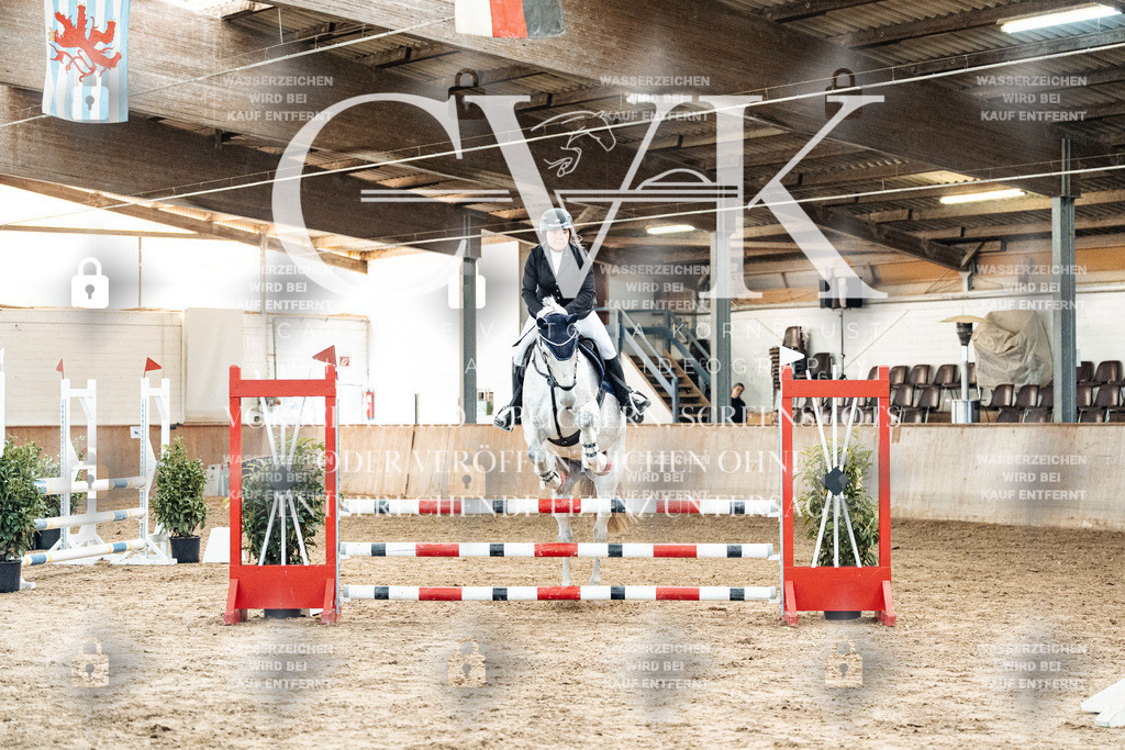 CK904358 | Turnierfotografie Pferdefotografie Trier Rheinland-Pfalz Pferdesport Reitsport Tierfotografie Sportfotografie Pferdevideo Pferdevideografie Equestrianvideography equestrianphotography  - Realized with Pictrs.com