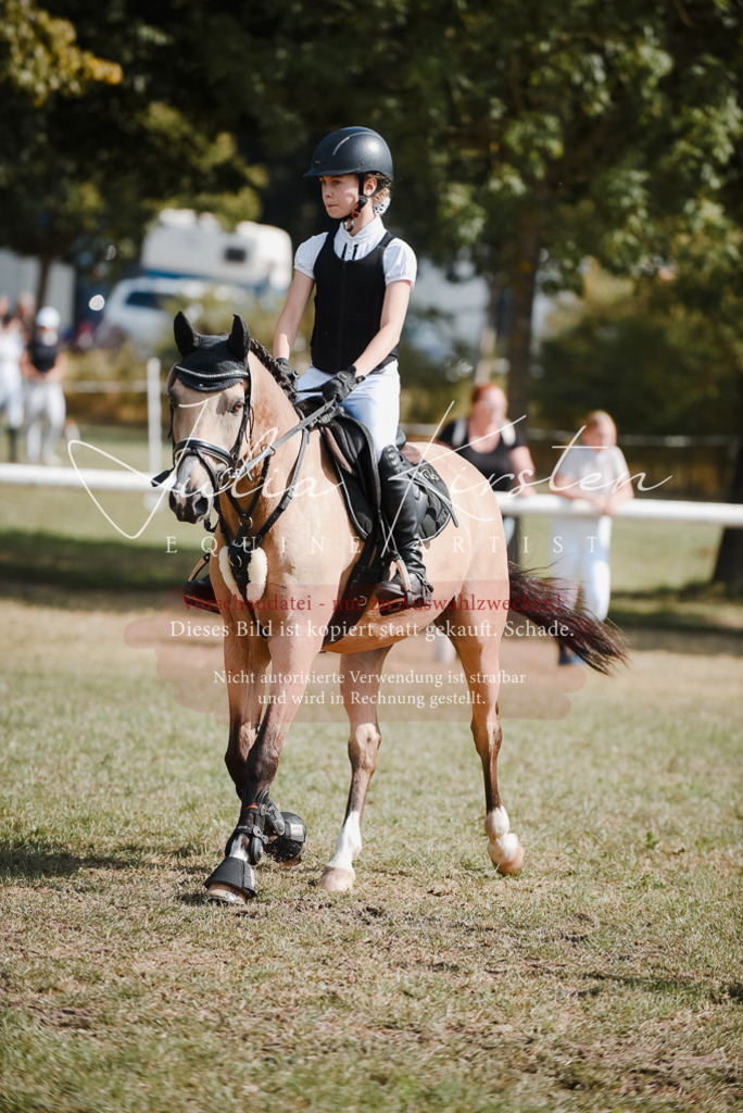 DSC_5303 | Pferde- und Turnierfotografie in Westsachsen. Pferdeportraits, Auftragszeichnungen und intuitive Kunst.