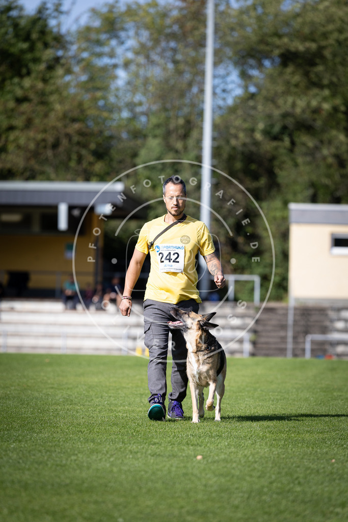 Pfotenfotografie_DV3A4922 | Hundefotografie, Tierfotograf, Pfotenfotografie, Fotoshooting Hund, Hunde Portrait, Hundesport, Hundeportraits, Heideshooting, Hunde, Sportfotograf, Hundefotograf, Turnierhundsport, THS,  - Realisiert mit Pictrs.com