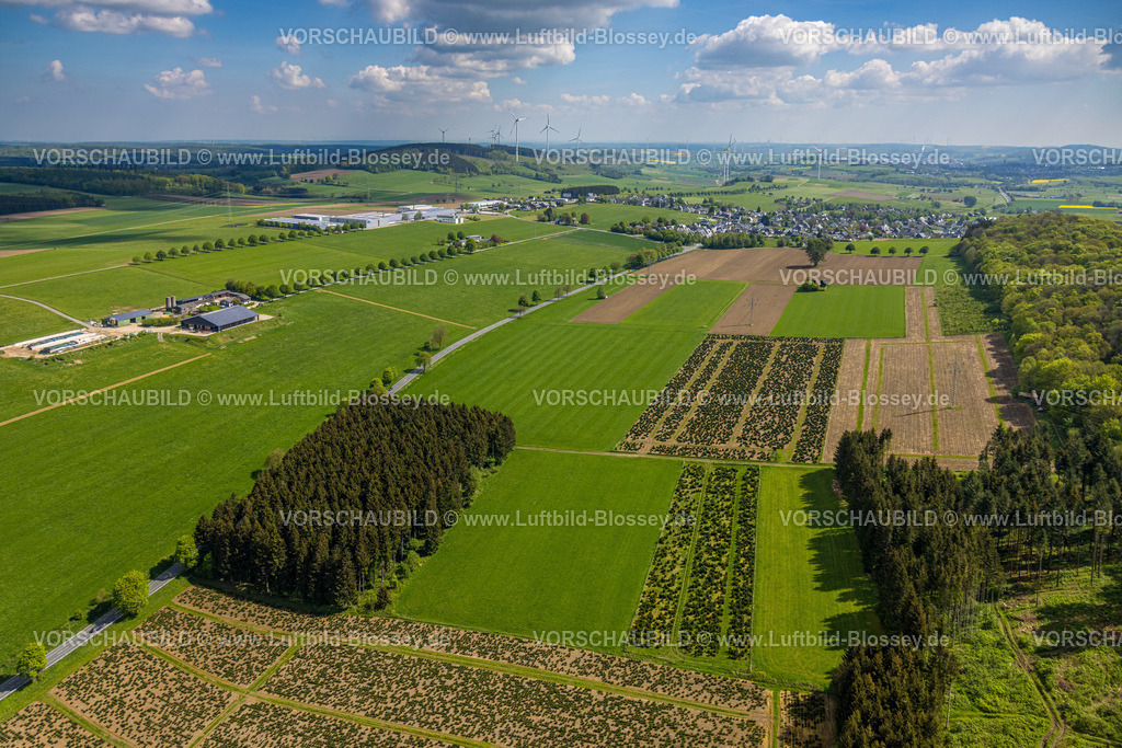 Brilon240503314 | Luftbild, Baumplantagen, Wiesen und Felder mit Blick auf Altenbüren, Baumallee Elmerborg und Theodor Ridder Landwirt Landwirtschaftsbetrieb, hinten links BMS Industriebau, Windpark Windenergieanlage und Windräder, Fernsicht mit blauem Himmel und Wolken, Altenbüren, Brilon, Sauerland, Nordrhein-Westfalen, Deutschland