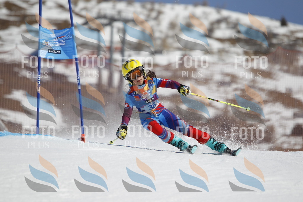 _U3G9182 | holidayphoto