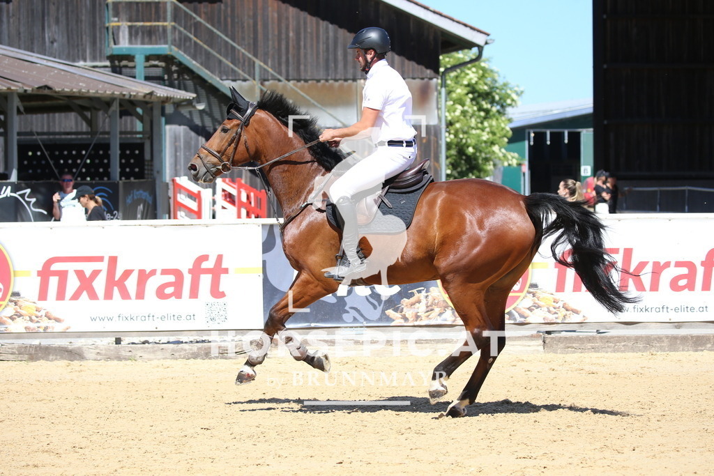 DL2Q1371 | Willkommen bei Brunnmayr - Design & Fotografie – Ihrem Spezialisten für Reitturniere und Pferdeveranstaltungen in Oberösterreich, Salzburg und Bayern! Seit über 17 Jahren sind wir leidenschaftlich dabei.