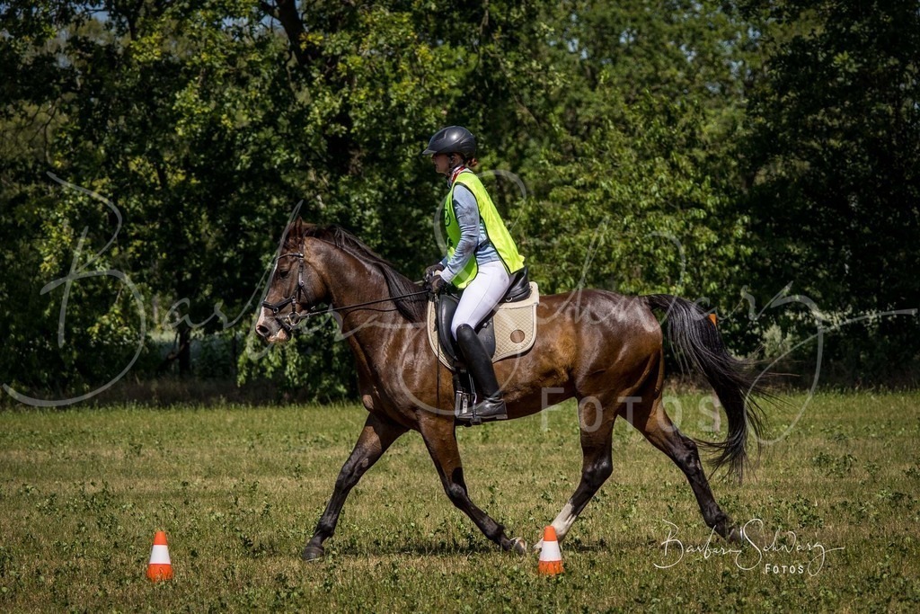CJP_2026-06-26_82 | Stimmungsvolle Fotografie von Pferden, fotografische Begleitung von Veranstaltungen, Golfturnieren und Distanzritten - Realisiert mit Pictrs.com