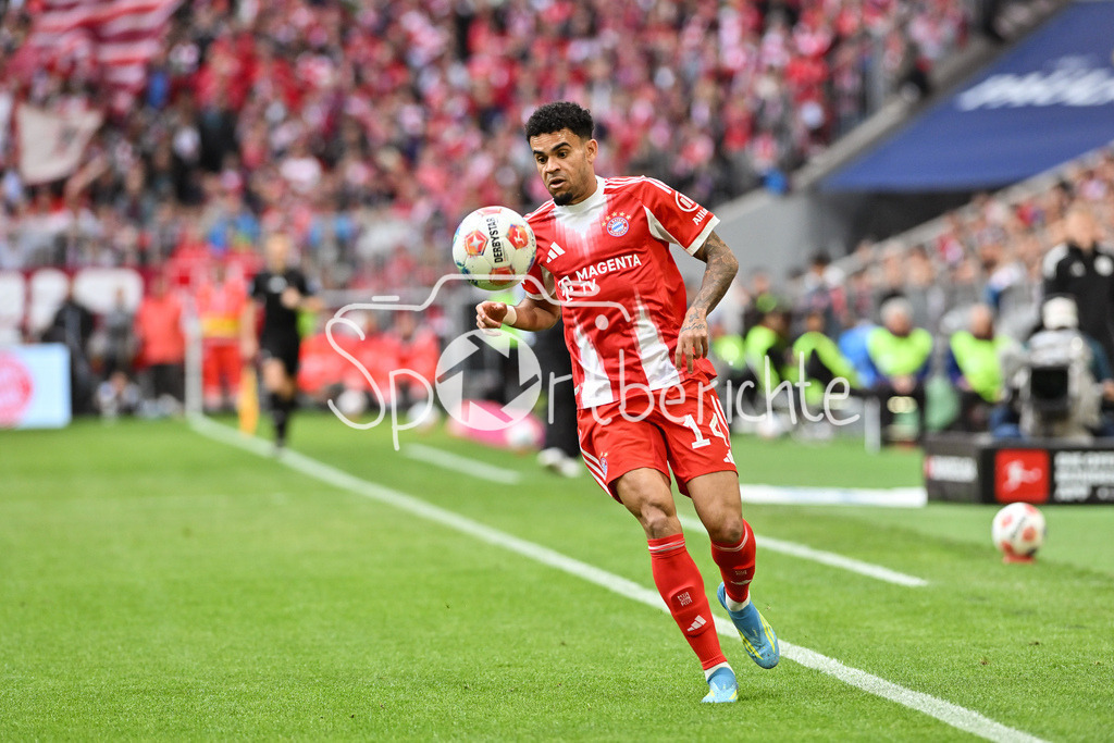 FC Bayern München - VfB Stuttgart | MUNICH, GERMANY - 19. APRIL: with Ball Luis DIAZ (FC Bayern Munich 14) during the Bundesliga Match between FC Bayern Munich vs. VfB Stuttgart at Matchday 30 at Allianz Arena / DFL REGULATIONS PROHIBIT ANY USE OF PHOTOGRAPHS AS IMAGE SEQUENCES AND/OR QUASI-VIDEO