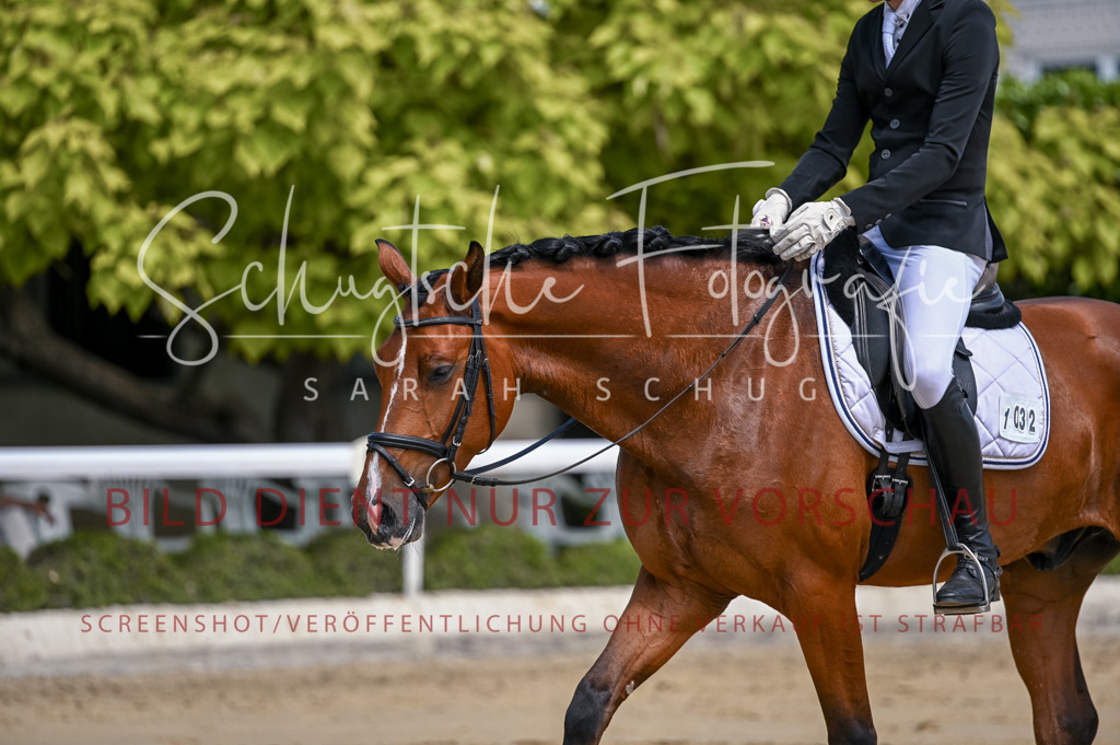 Schugtsche-Aluta25-48.Reitpferfdeprf.-245 | Schugtsche Fotografie - Realisiert mit Pictrs.com