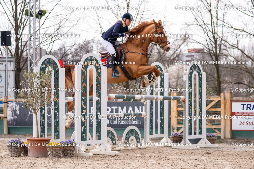 Kranichstein Tag 2-1774 | dv-media-shop - Realisiert mit Pictrs.com