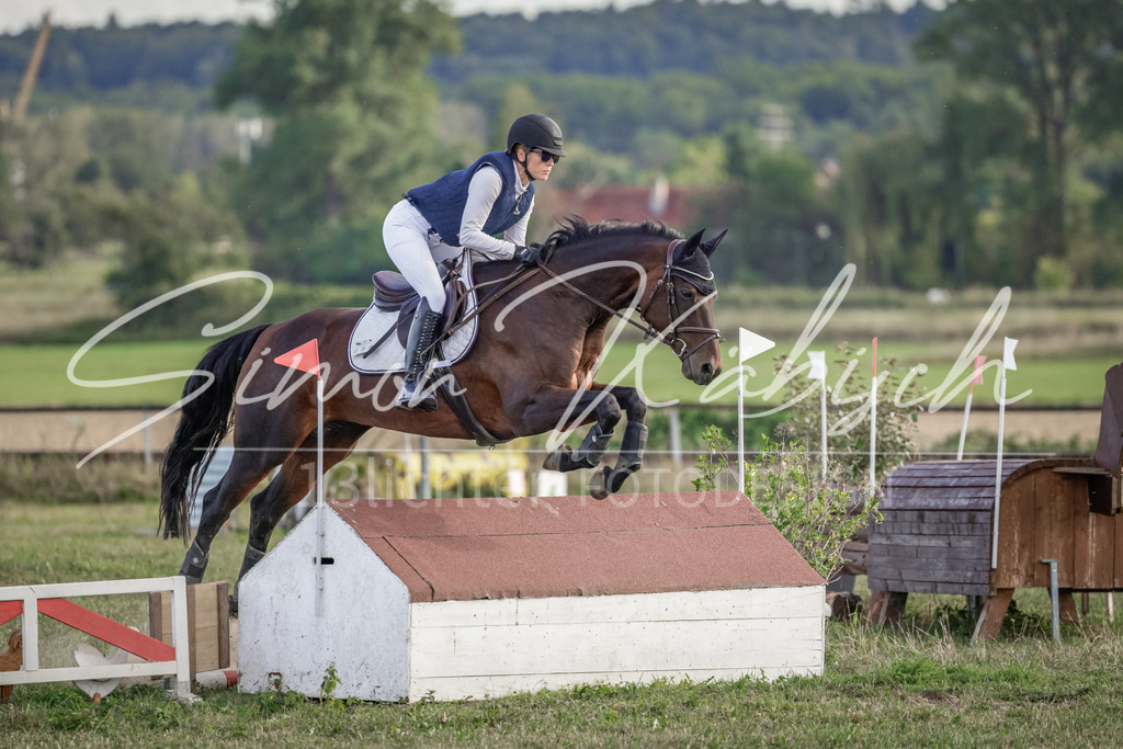 20250906-_3LI7473 | Tierfotografie Pferde, Hunde, Katzen, Haustiere.
Turnierfotografie Reitturniere, Reiten, Springreiten, Dressur in Hanau, dem Main-Kinzig-Kreis und dem Rhein-Main- Gebiet um Frankfurt
