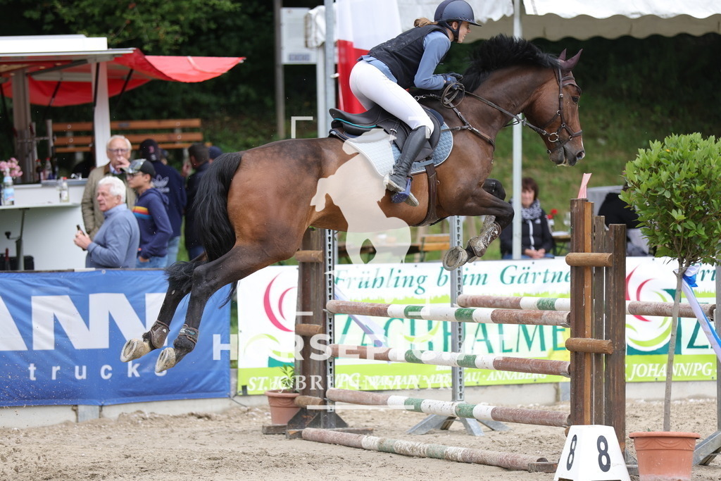 0P6A2255 | Willkommen bei Brunnmayr - Design & Fotografie – Ihrem Spezialisten für Reitturniere und Pferdeveranstaltungen in Oberösterreich, Salzburg und Bayern! Seit über 17 Jahren sind wir leidenschaftlich dabei.