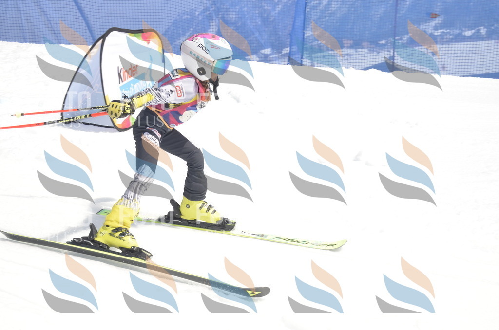 _ELE9168 | holidayphoto