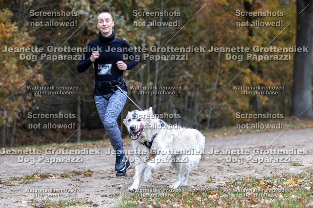 Dog Paparazzi - SD CaniX Championship 2025-558 | Dog Paparazzi Jeanette Grottendiek Fotografie & Videografie - Realisiert mit Pictrs.com