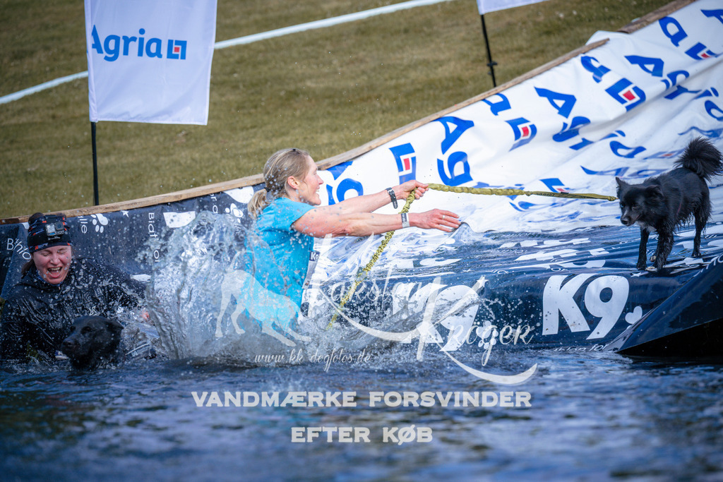 _ZZ972920742 | kk-dogfotos