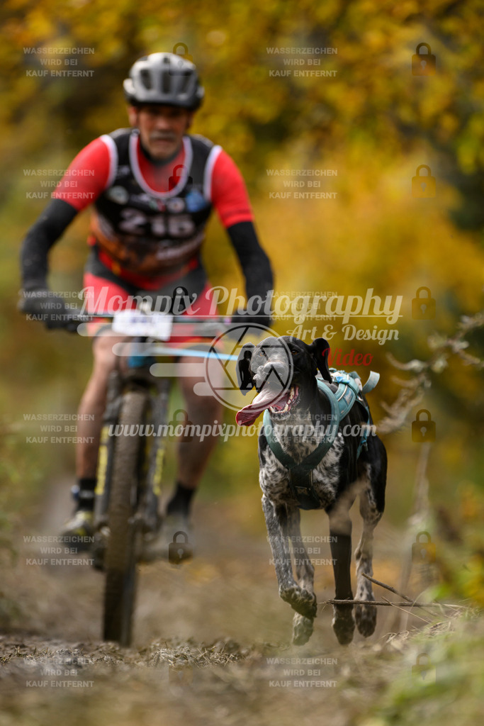 MompixPhotography_ICF_WC_2024_SA_Bike_-354 | PayLife