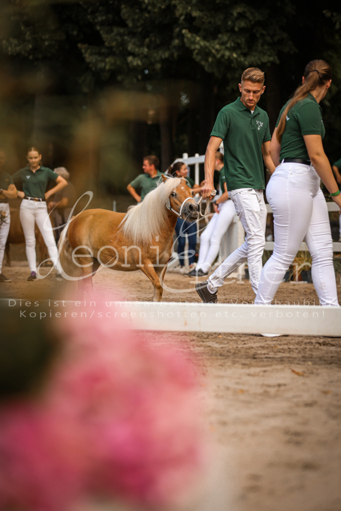 01.So00152 | Leoni Ertmer Photography - Realisiert mit Pictrs.com