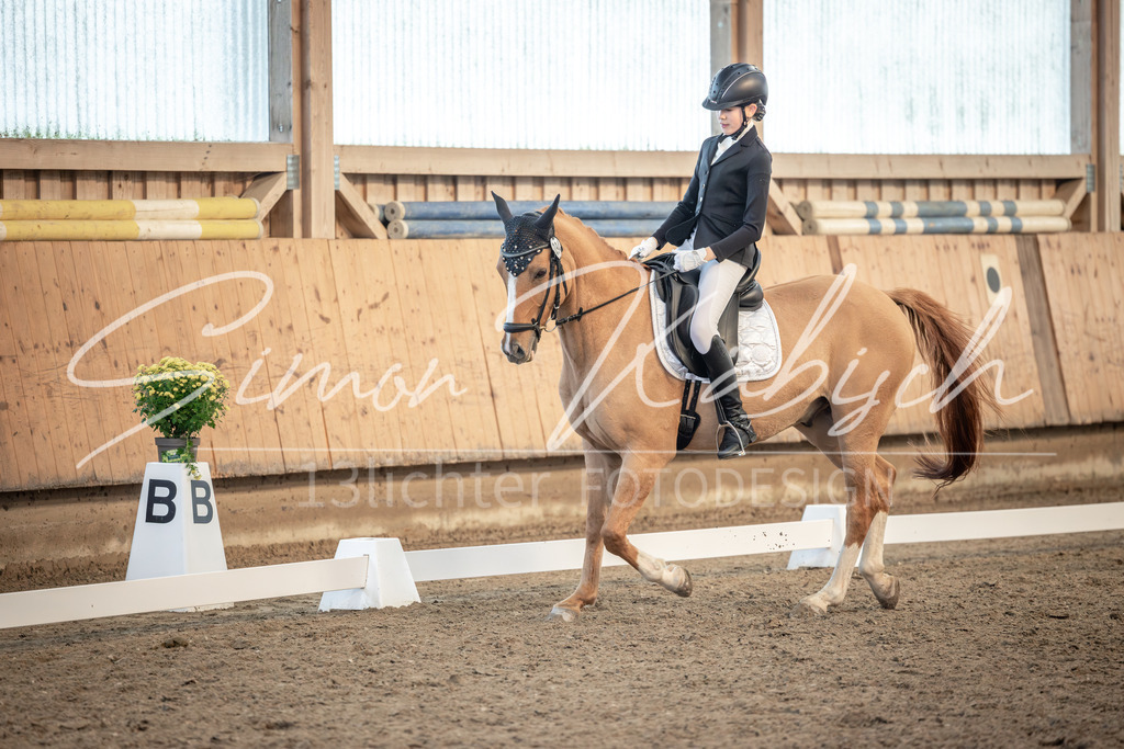 20251011-_3LI6805 | Tierfotografie Pferde, Hunde, Katzen, Haustiere.
Turnierfotografie Reitturniere, Reiten, Springreiten, Dressur in Hanau, dem Main-Kinzig-Kreis und dem Rhein-Main- Gebiet um Frankfurt