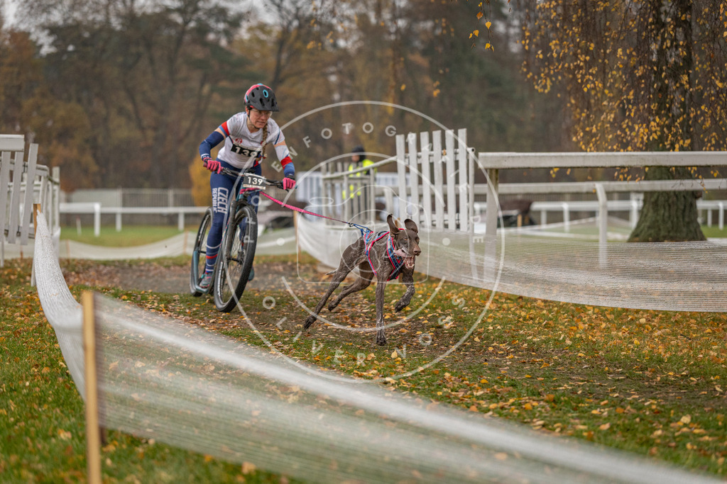 CaniXpix_DV3A7915 | Hundefotografie, Tierfotograf, Pfotenfotografie, Fotoshooting Hund, Hunde Portrait, Hundesport, Hundeportraits, Heideshooting, Hunde, Sportfotograf, Hundefotograf, Turnierhundsport, THS,  - Realisiert mit Pictrs.com