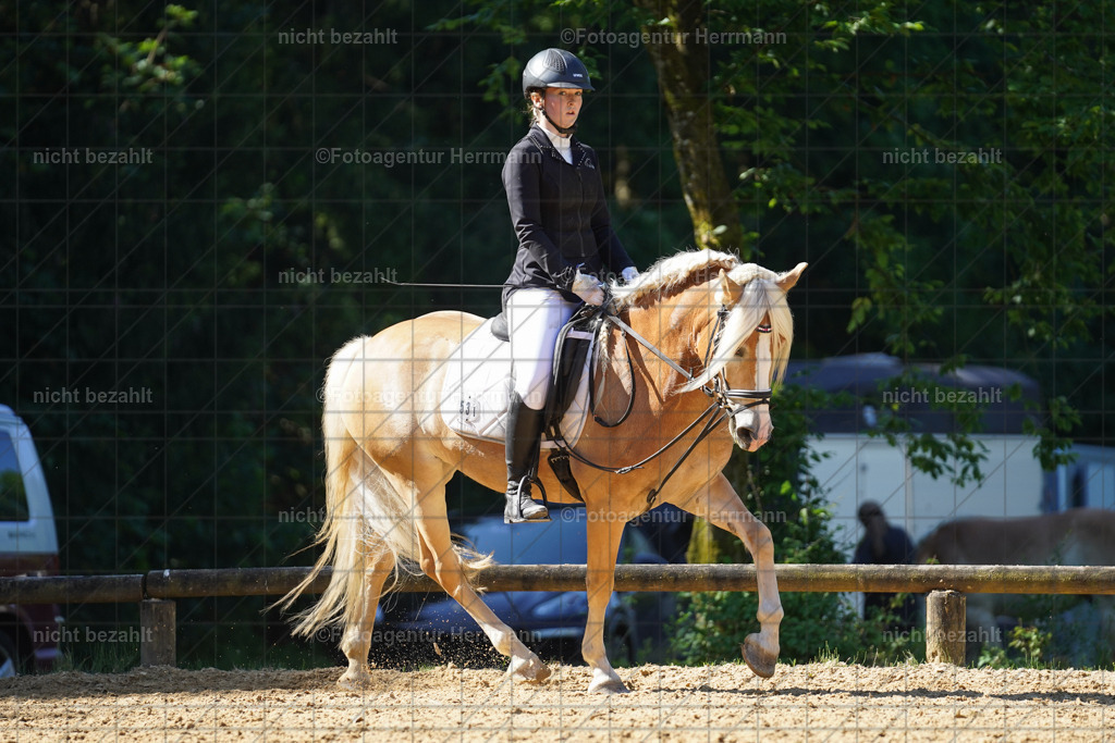 20240706-FAH04739 | Grafing Turnierfotos, Reitverein Ebersberg, Turnierfotografen Bayern, reitsportbilder, Pferdefotograf, reitsportfotograf, Sportbilder, Reitsportfotografie, Fotoagentur Herrmann, Turnierfotograf