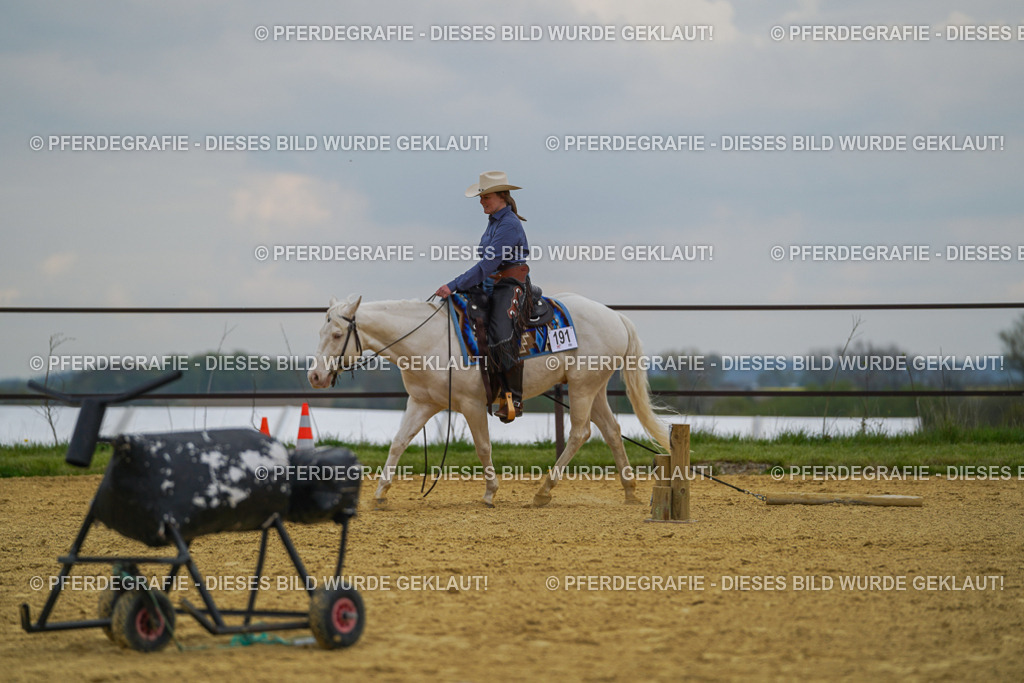 DSC07489 | Pferdegrafie