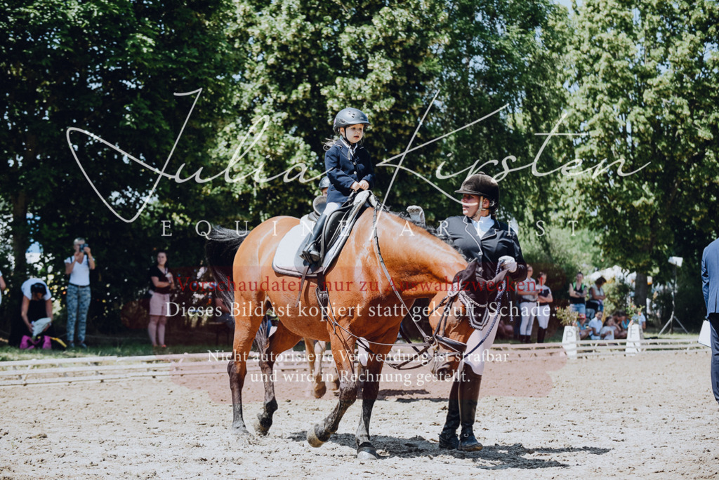 DSC_2475 | Pferde- und Turnierfotografie in Westsachsen. Pferdeportraits, Auftragszeichnungen und intuitive Kunst.