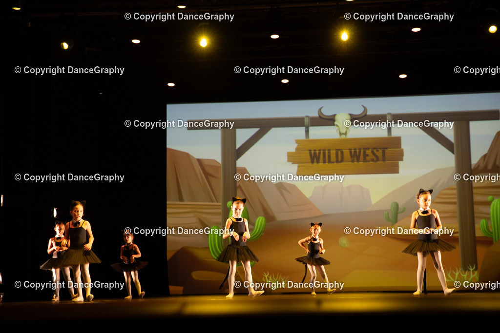 GPHY4234 | DanceGraphy - Realisiert mit Pictrs.com