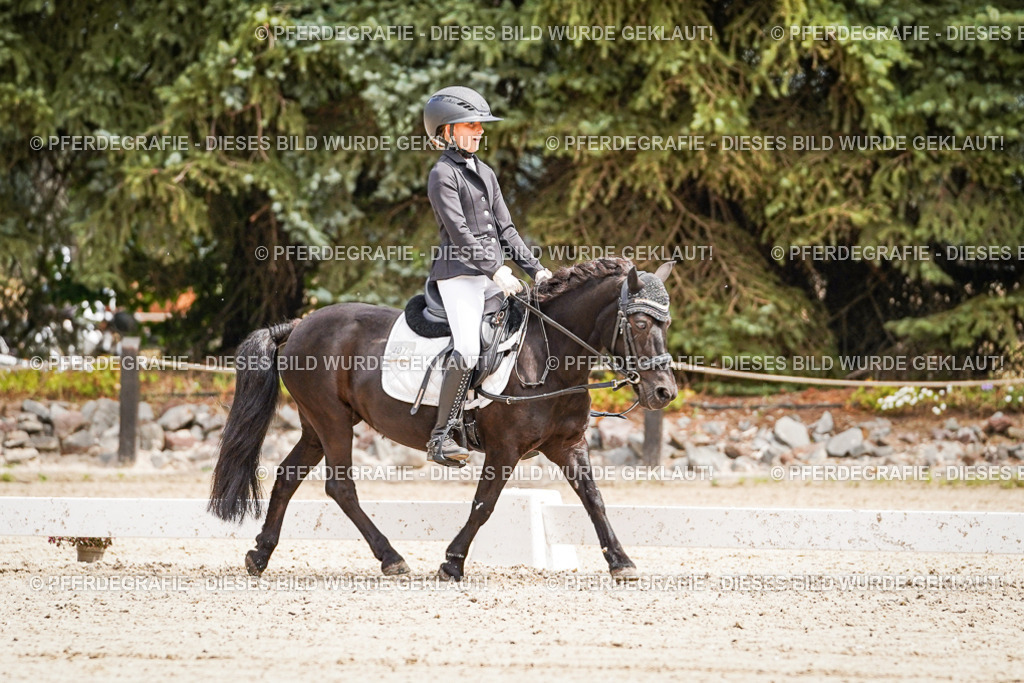 DSC02723 | Pferdegrafie