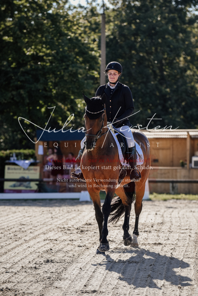 DSC_0296 | Pferde- und Turnierfotografie in Westsachsen. Pferdeportraits, Auftragszeichnungen und intuitive Kunst.