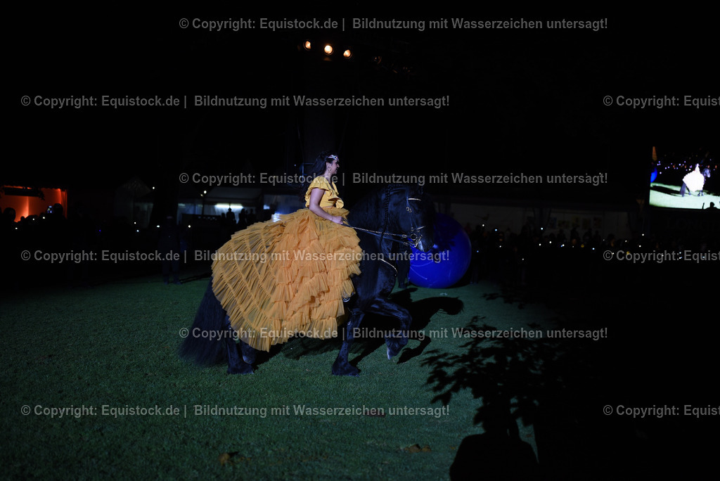 20230526_Pferdenacht_1560 | equistock