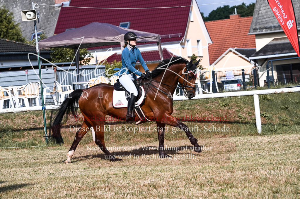 DSC_7551 | Pferde- und Turnierfotografie in Westsachsen. Pferdeportraits, Auftragszeichnungen und intuitive Kunst.