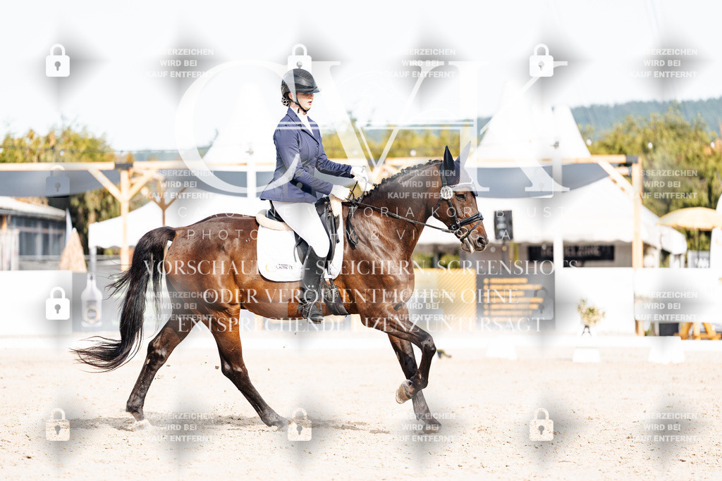 CK905055 | Turnierfotografie Pferdefotografie Trier Rheinland-Pfalz Pferdesport Reitsport Tierfotografie Sportfotografie Pferdevideo Pferdevideografie Equestrianvideography equestrianphotography  - Realisiert mit Pictrs.com