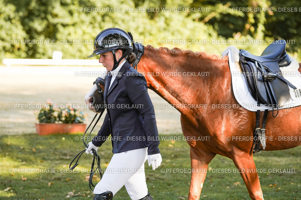 DSC06692 | Pferdegrafie