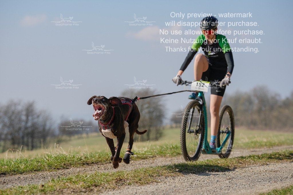 Scooter_Lang-77 | stephaniefillaphotographie - Realisiert mit Pictrs.com