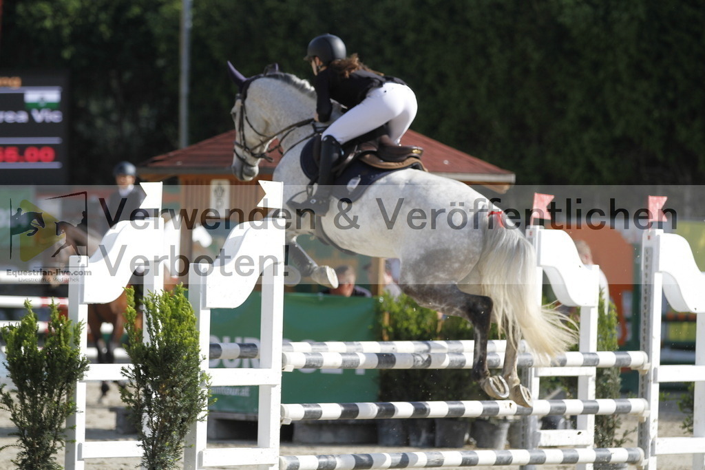 _MG_8480 | equestrian-live-com