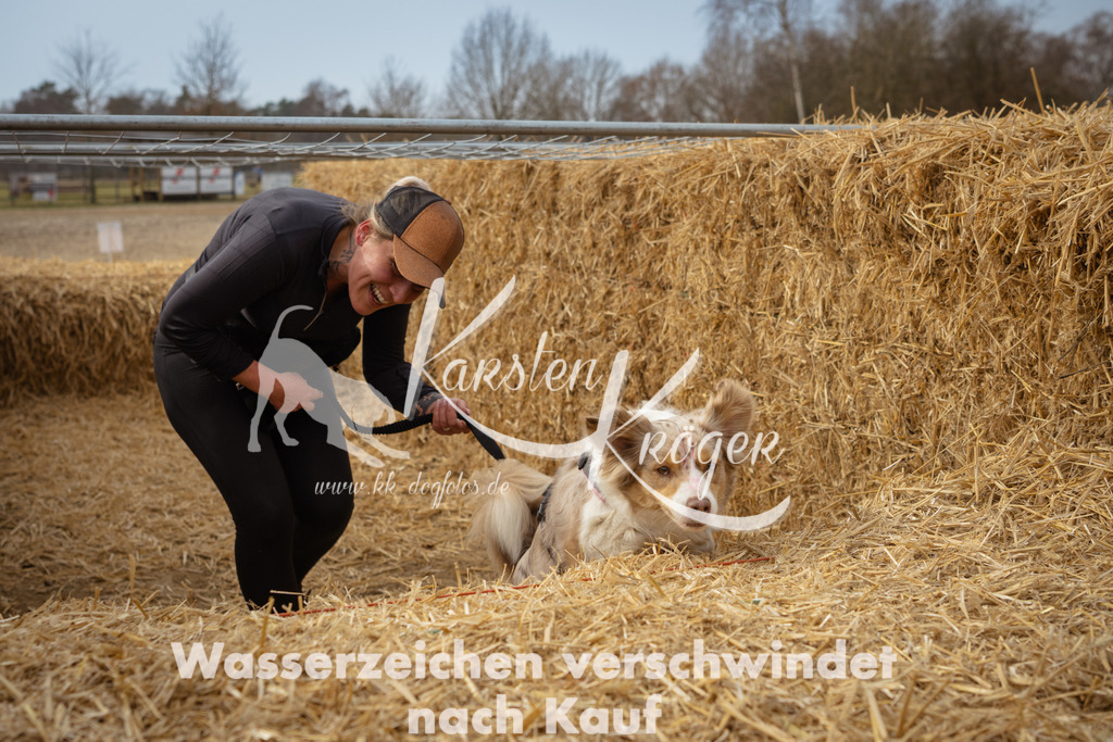 1138_ZZ94797 | kk-dogfotos