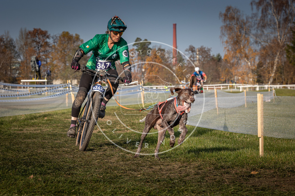 CaniXpix_0L8A7744 | Hundefotografie, Tierfotograf, Pfotenfotografie, Fotoshooting Hund, Hunde Portrait, Hundesport, Hundeportraits, Heideshooting, Hunde, Sportfotograf, Hundefotograf, Turnierhundsport, THS,  - Realisiert mit Pictrs.com