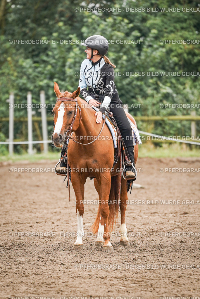 DSC02058 | Pferdegrafie