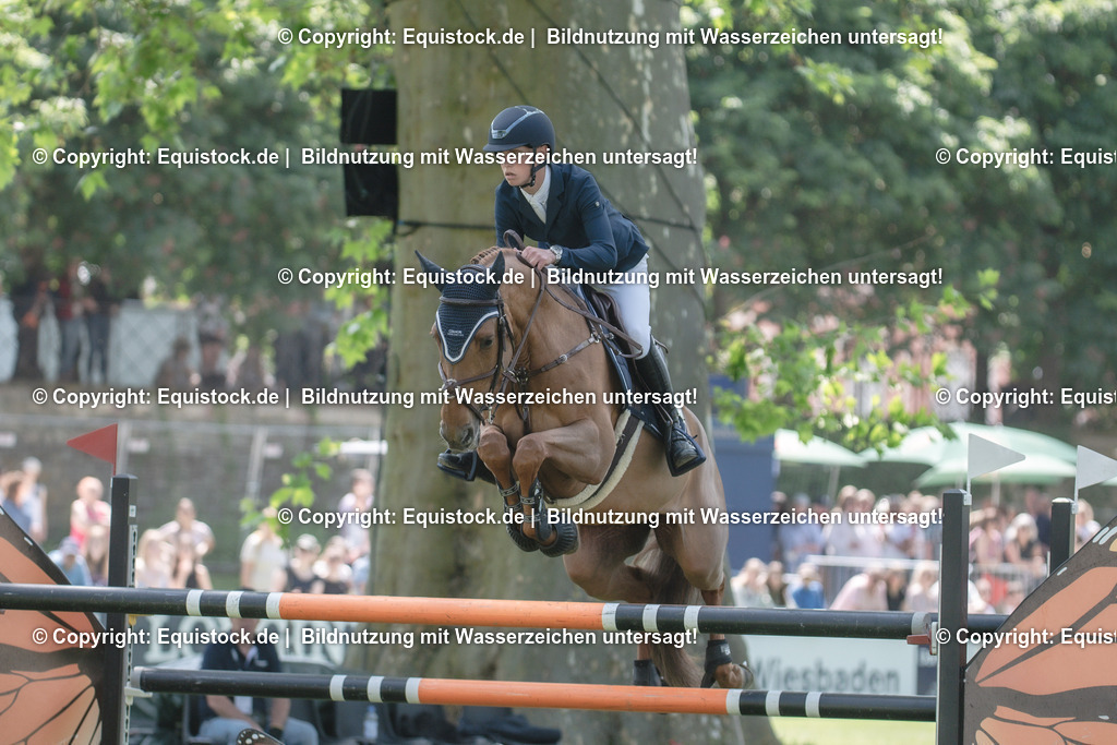 20230527_12_CSI4_Pfungstädter_0014 | equistock