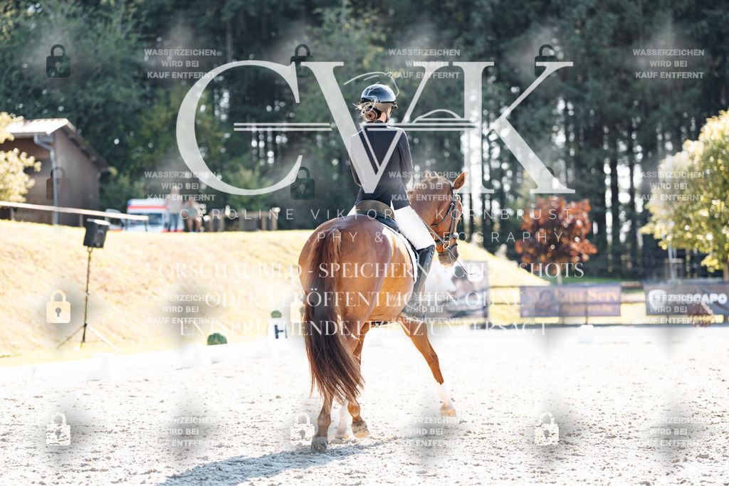 CK905999 | Turnierfotografie Pferdefotografie Trier Rheinland-Pfalz Pferdesport Reitsport Tierfotografie Sportfotografie Pferdevideo Pferdevideografie Equestrianvideography equestrianphotography  - Realisiert mit Pictrs.com