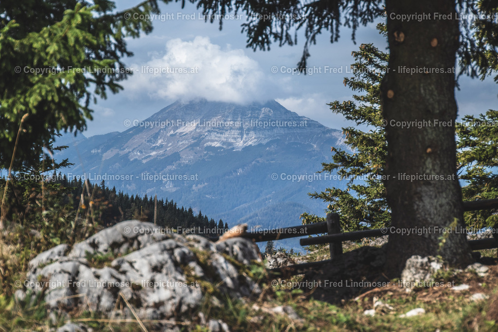 Otscher  (1) | Fotos und Fotoprodukte - Realisiert mit Pictrs.com