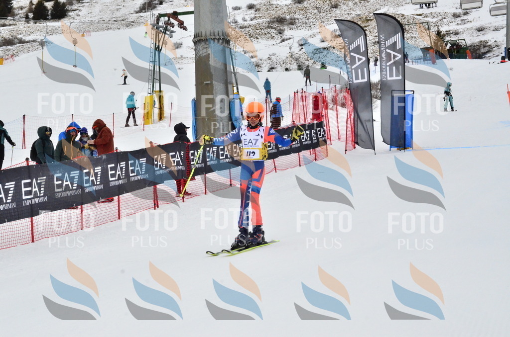 _ELE3614 | holidayphoto