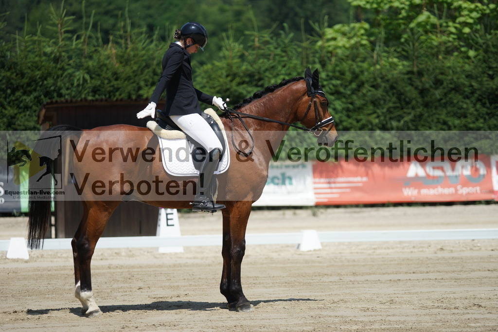 DSC04780 | equestrian-live-com