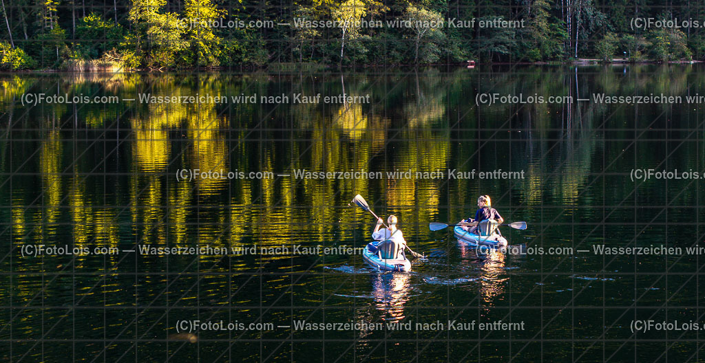 2901_Luftbild_Lunzer See | Luftbild Lunzer See, Mo 15. September 2025