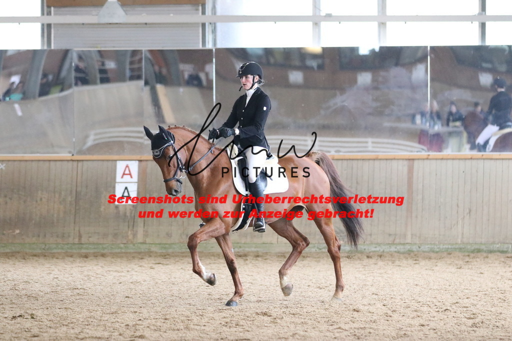 IMG_7406 | lmwpictures - Realisiert mit Pictrs.com