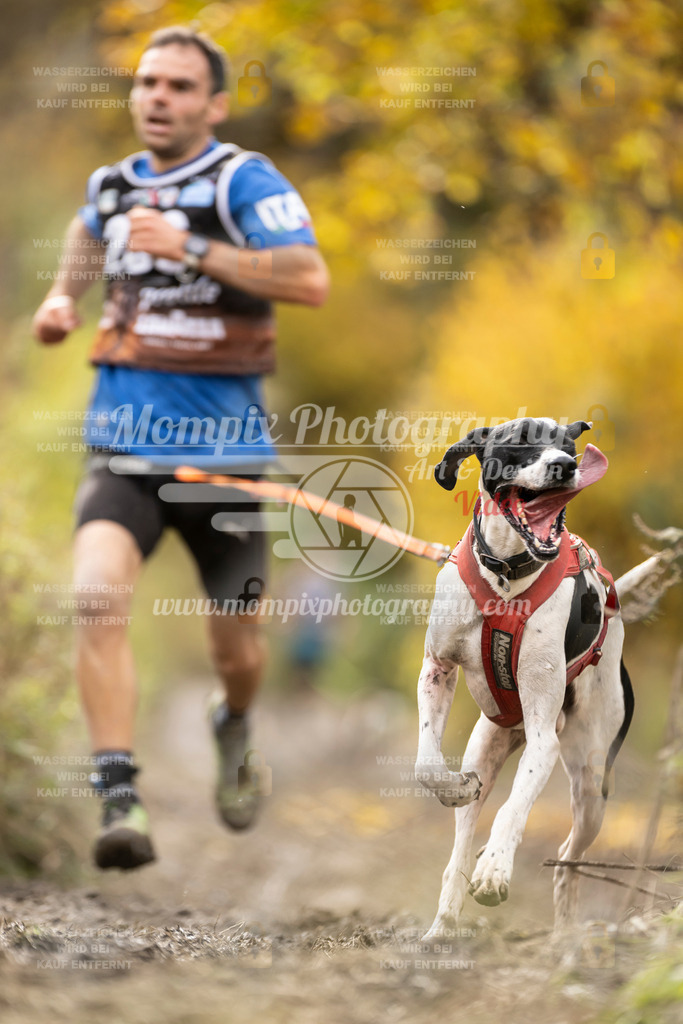 MompixPhotography_ICF_WC_2024_SA_Run_-11 | PayLife
