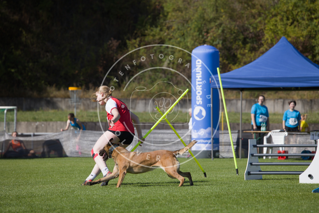 0L8A7557 | Hundefotografie, Tierfotograf, Pfotenfotografie, Fotoshooting Hund, Hunde Portrait, Hundesport, Hundeportraits, Heideshooting, Hunde, Sportfotograf, Hundefotograf, Turnierhundsport, THS,  - Realisiert mit Pictrs.com