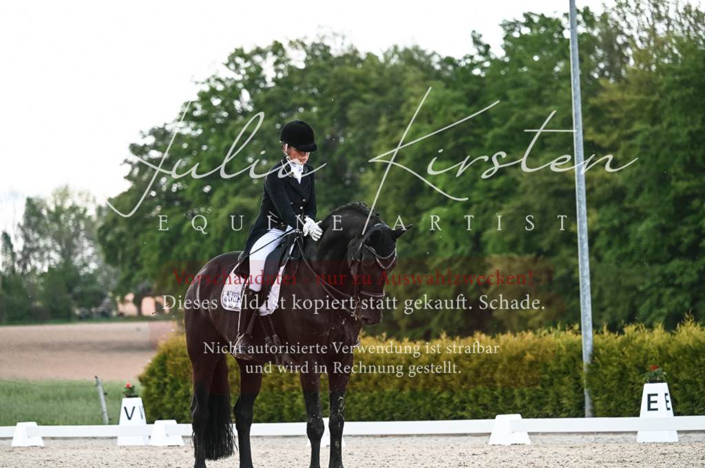 20230514_JK-Röhrsdorf-21-482 | Pferde- und Turnierfotografie in Westsachsen. Pferdeportraits, Auftragszeichnungen und intuitive Kunst.