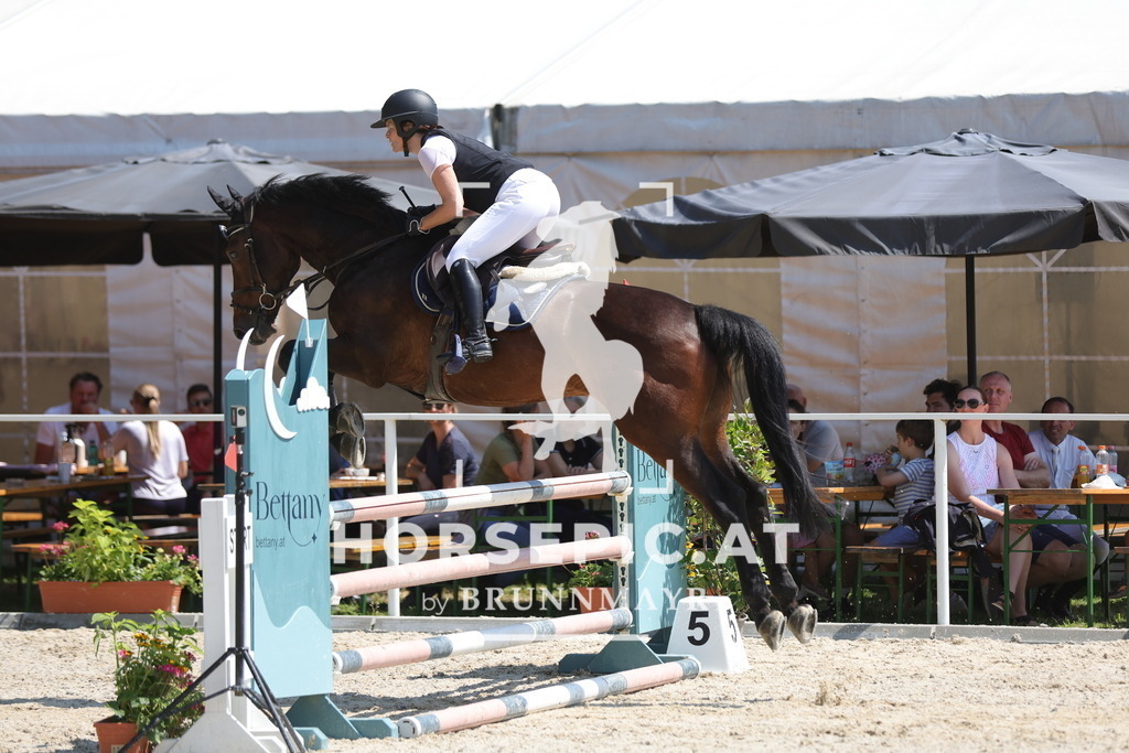0P6A9114 | Willkommen bei Brunnmayr - Design & Fotografie – Ihrem Spezialisten für Reitturniere und Pferdeveranstaltungen in Oberösterreich, Salzburg und Bayern! Seit über 17 Jahren sind wir leidenschaftlich dabei.
