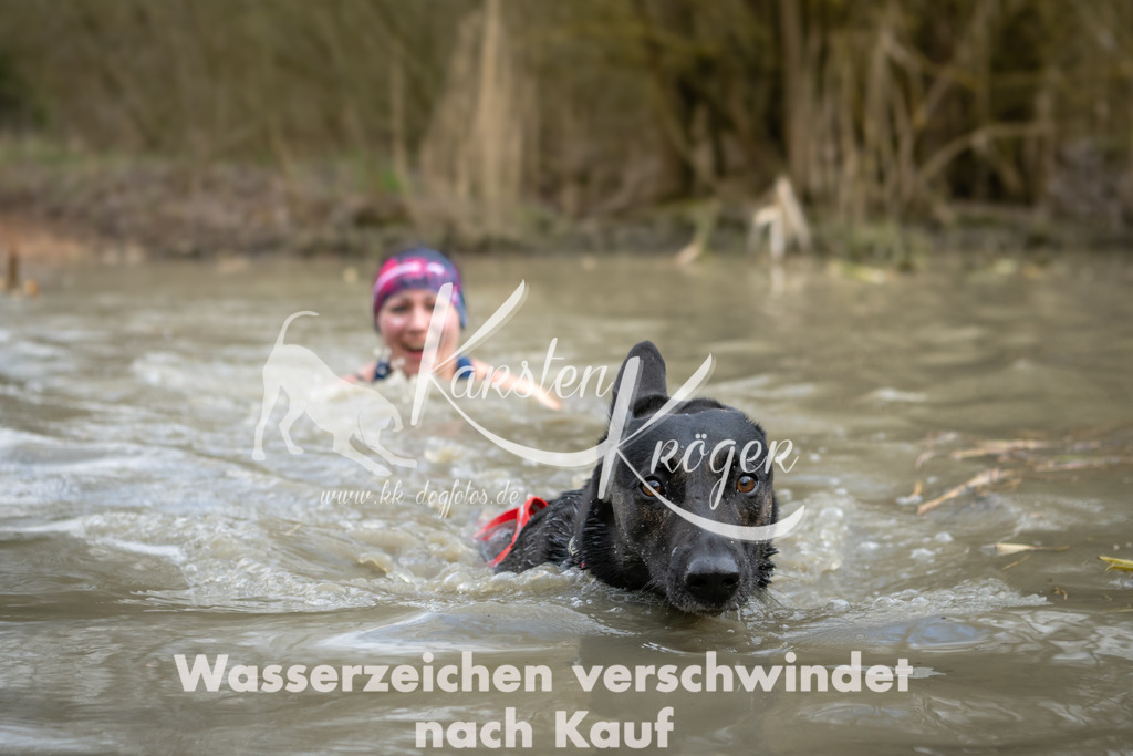 1558_ZZ95138 | kk-dogfotos