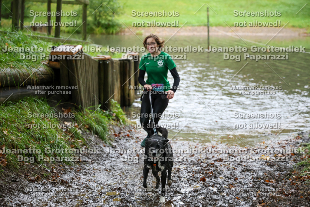 Dog Paparazzi -  SD1026-8511 | Dog Paparazzi Jeanette Grottendiek Fotografie & Videografie - Realisiert mit Pictrs.com