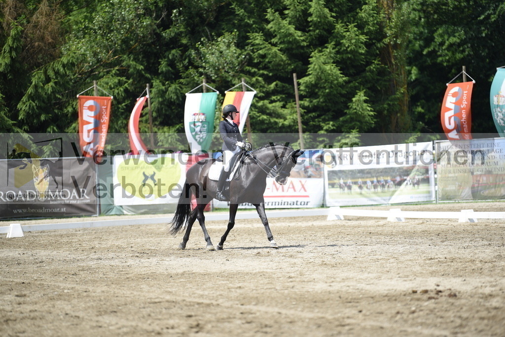 DSC_9013 | equestrian-live-com